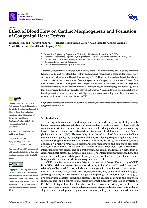 (PDF) Effect of Blood Flow on Cardiac Morphogenesis and Formation of ...