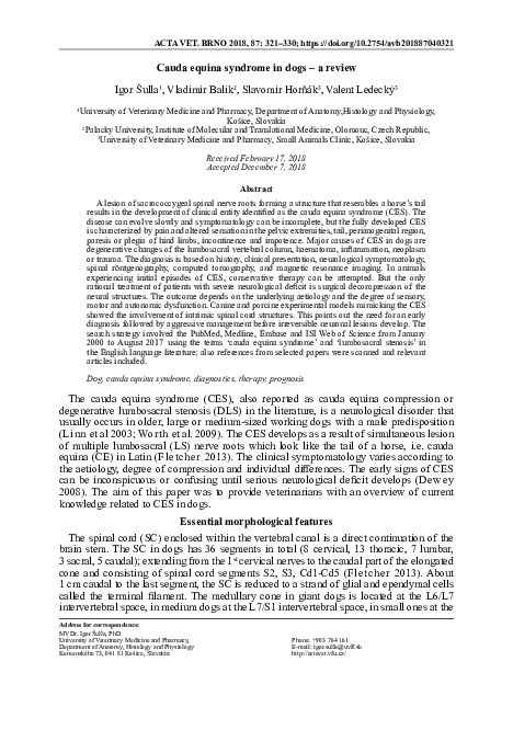 (PDF) Cauda equina syndrome in dogs - a review