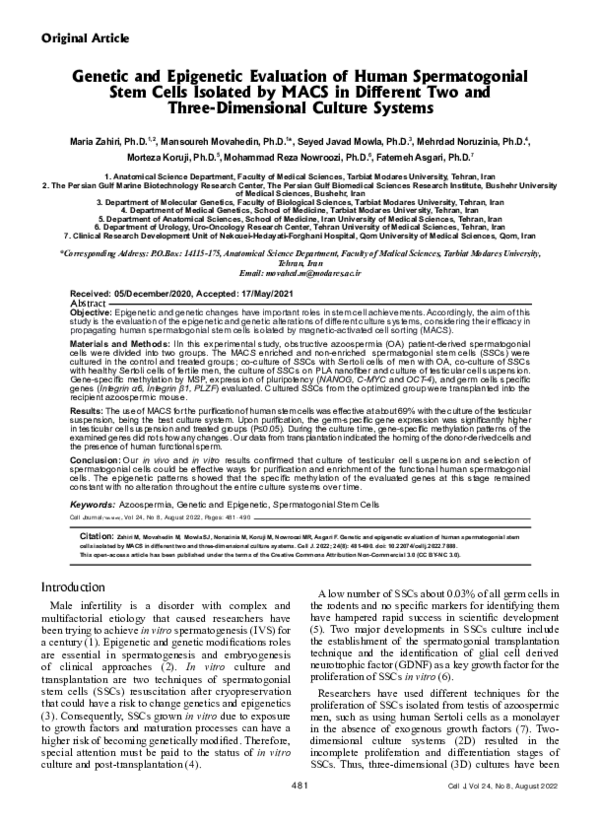 (PDF) Genetic and Epigenetic Evaluation of Human Spermatogonial Stem ...