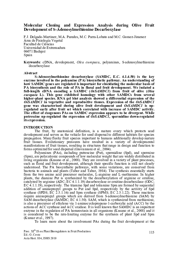 (PDF) Molecular Cloning and Expression Analysis During Olive Fruit ...