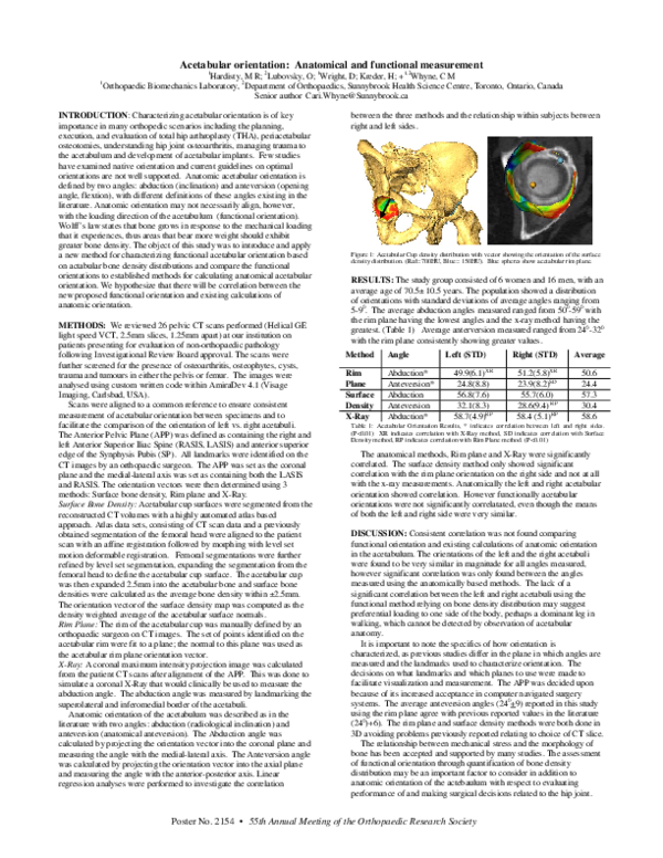 (PDF) Acetabular orientation: anatomical and functional measurement