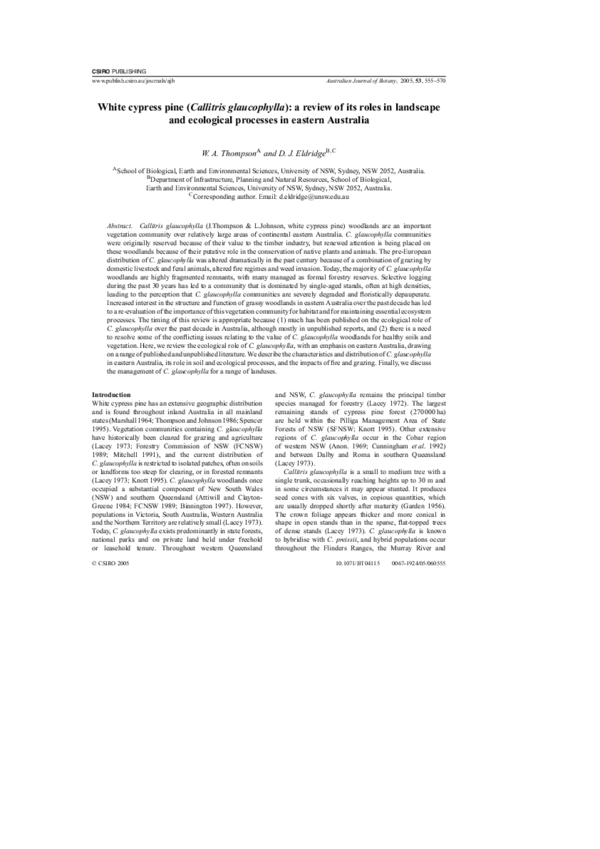  pdf white cypress pine callitris glaucophylla a review of its