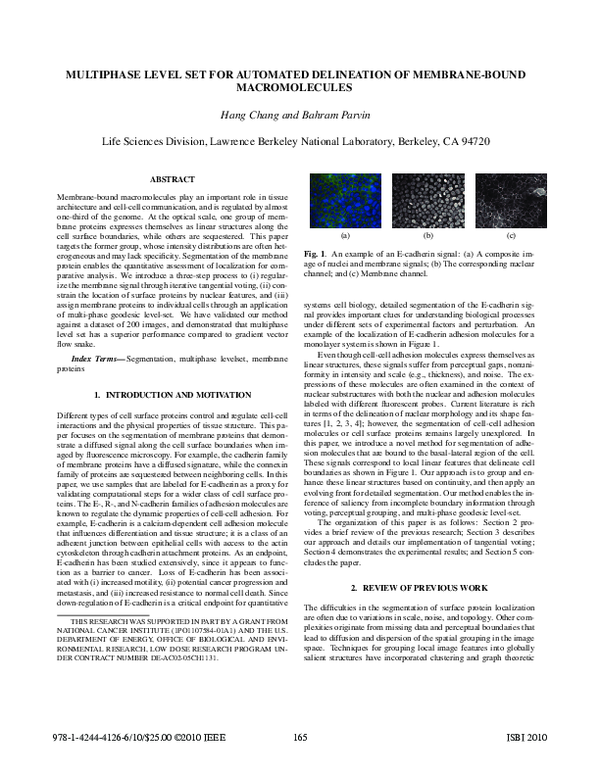 (PDF) Multiphase level set for automated delineation of membrane-bound ...