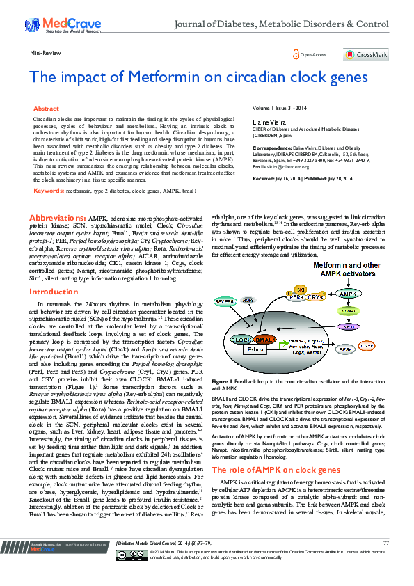 (PDF) The Impact of Metformin on Circadian Clock Genes