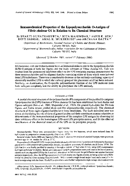 (PDF) Immunochemical Properties of the Lipopolysaccharide O-Antigen of ...