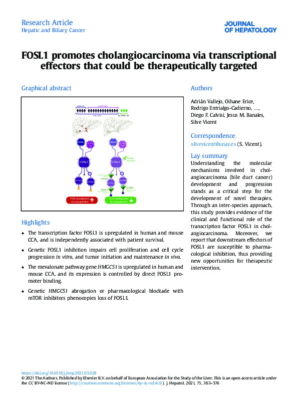 (PDF) FOSL1 promotes cholangiocarcinoma via transcriptional effectors ...