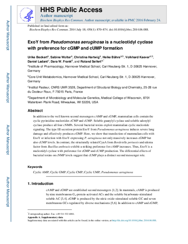 (PDF) ExoY from Pseudomonas aeruginosa is a nucleotidyl cyclase with ...