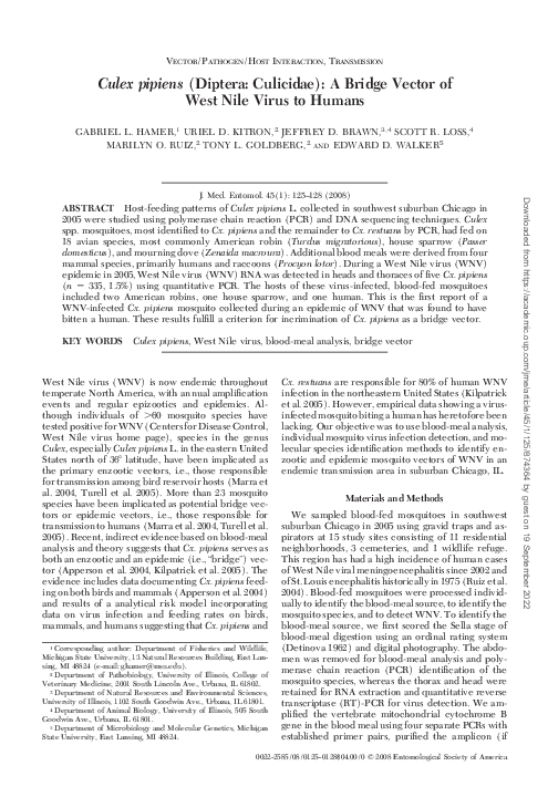 (PDF) Culex pipiens (Diptera: Culicidae): A Bridge Vector of West Nile ...