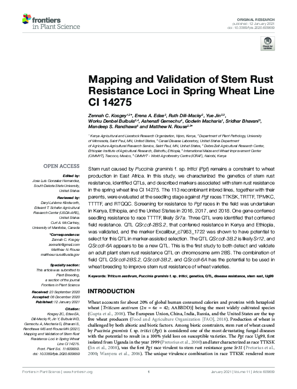 (PDF) Mapping and Validation of Stem Rust Resistance Loci in Spring ...