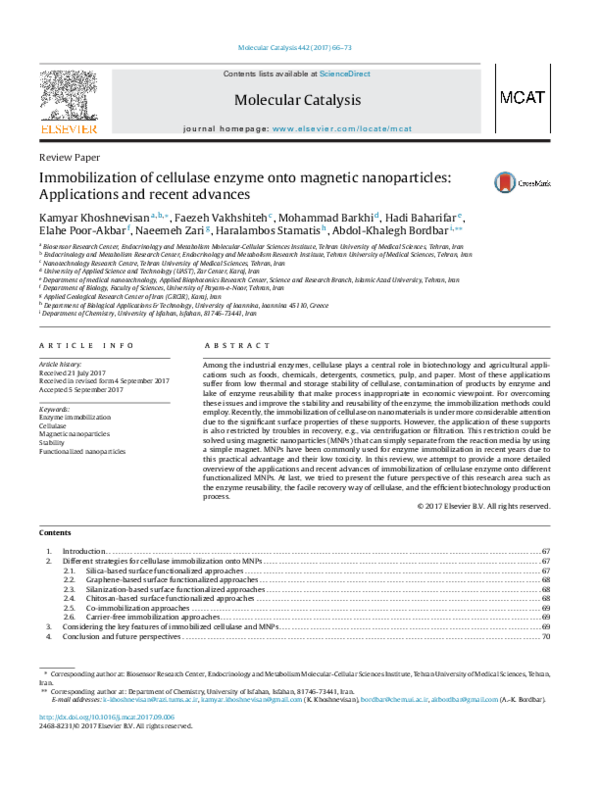 (PDF) Cellulase Immobilization on Magnetic Nanoparticles