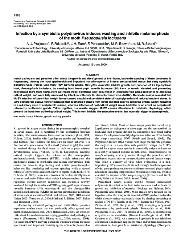 (PDF) Infection by a symbiotic polydnavirus induces wasting and ...