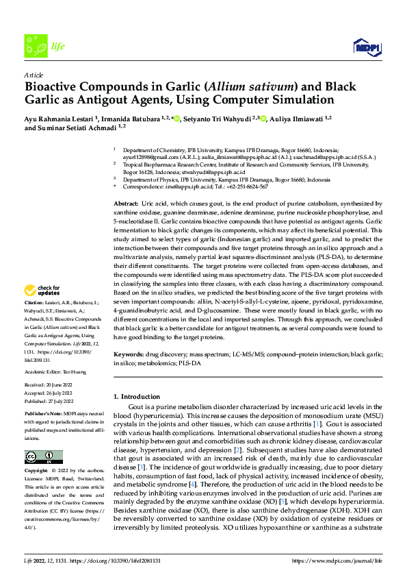 (PDF) Bioactive Compounds in Garlic (Allium sativum) and Black Garlic ...