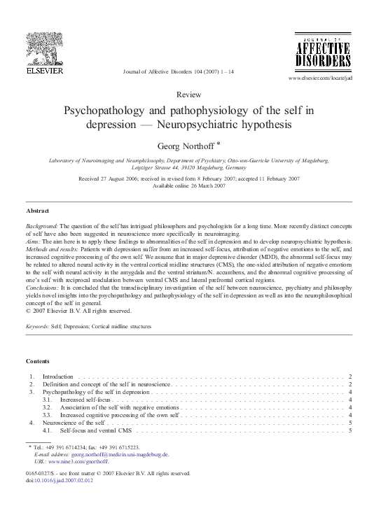 (PDF) Psychopathology and pathophysiology of the self in depression ...