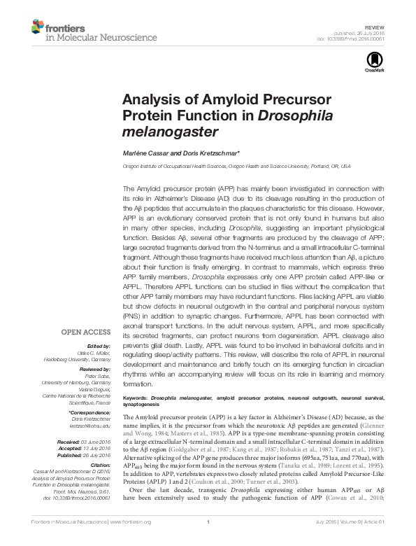 (PDF) Analysis of amyloid precursor protein function in Drosophila ...