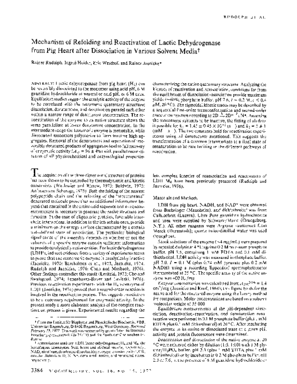 (PDF) Mechanism of refolding and reactivation of lactic dehydrogenase