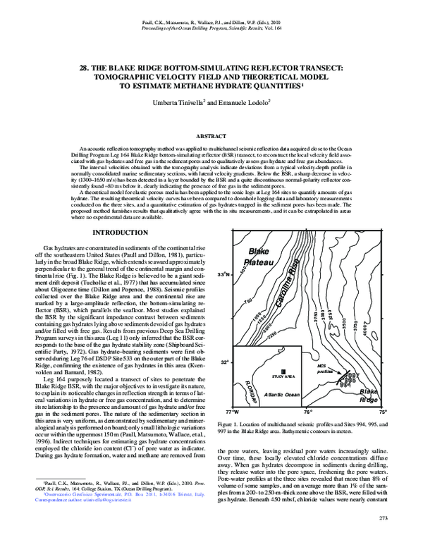 (PDF) 28. The Blake Ridge bottom-simulating reflector transect ...