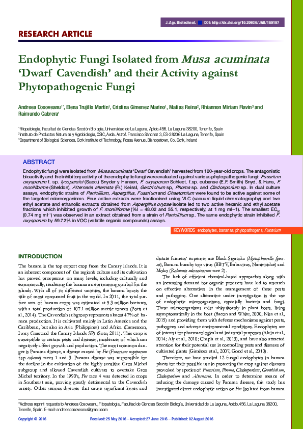 (PDF) Endophytic Fungi Isolated from Musa acuminata 'Dwarf Cavendish