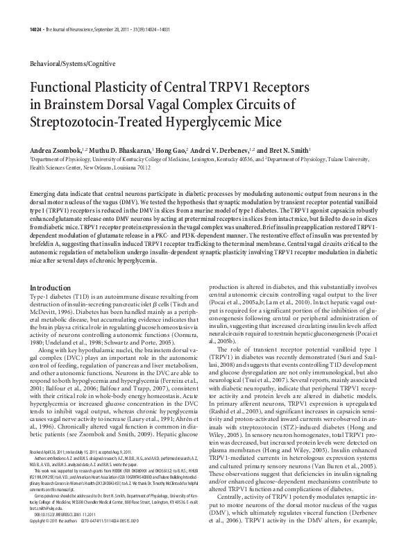 (PDF) Functional Plasticity of Central TRPV1 Receptors in Brainstem ...