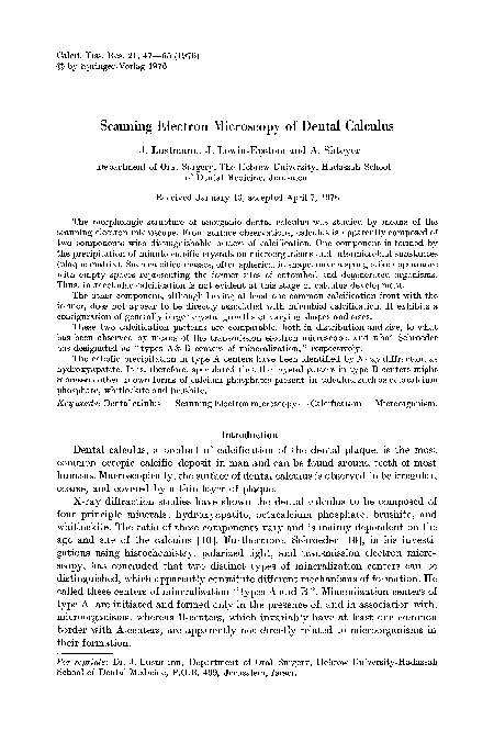 (PDF) Scanning electron microscopy of dental calculus