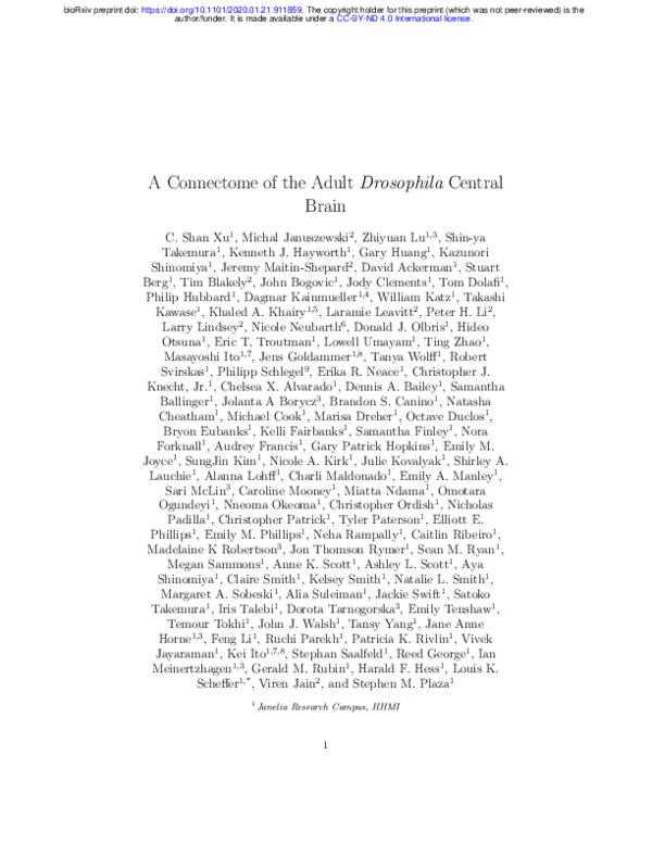 (PDF) A Connectome of the Adult Drosophila Central Brain