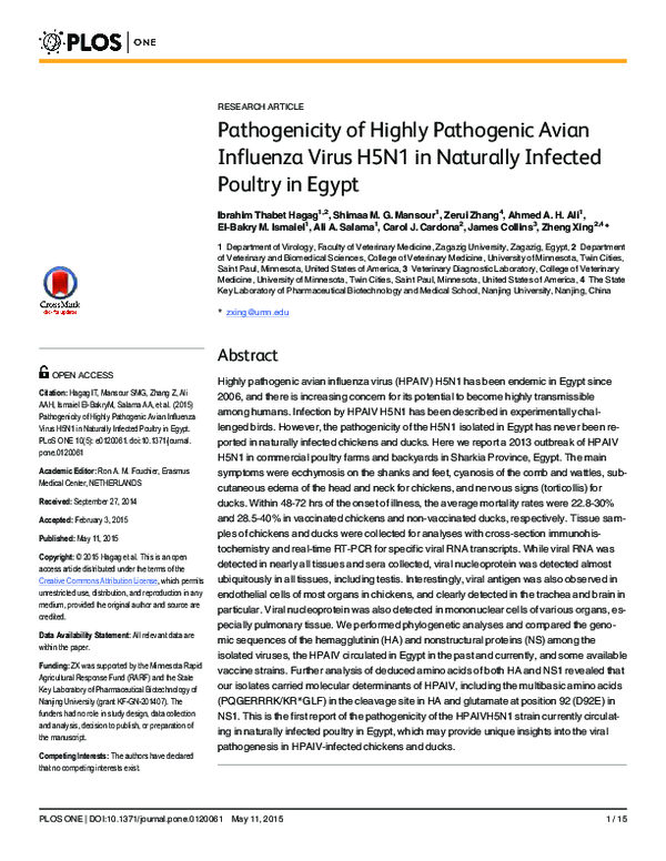 (PDF) Pathogenicity of a highly pathogenic avian influenza virus, A ...