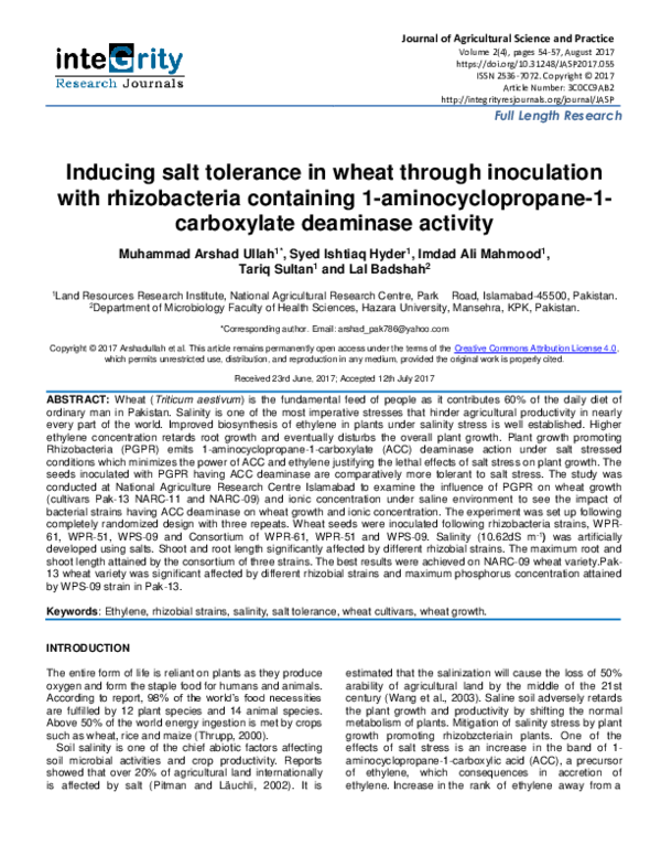 (PDF) Inducing salt tolerance in wheat through inoculation with ...