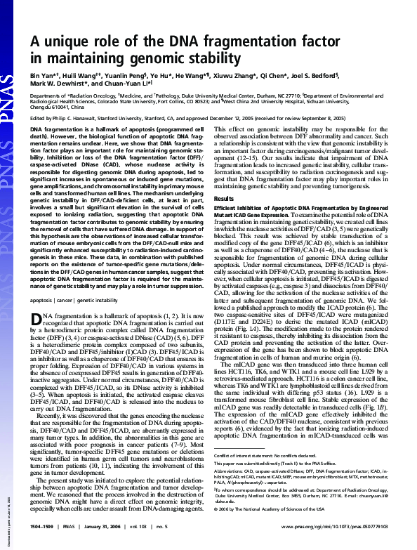 (PDF) A unique role of the DNA fragmentation factor in maintaining ...