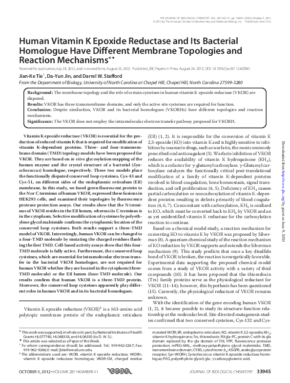 (PDF) Human Vitamin K Epoxide Reductase and Its Bacterial Homologue