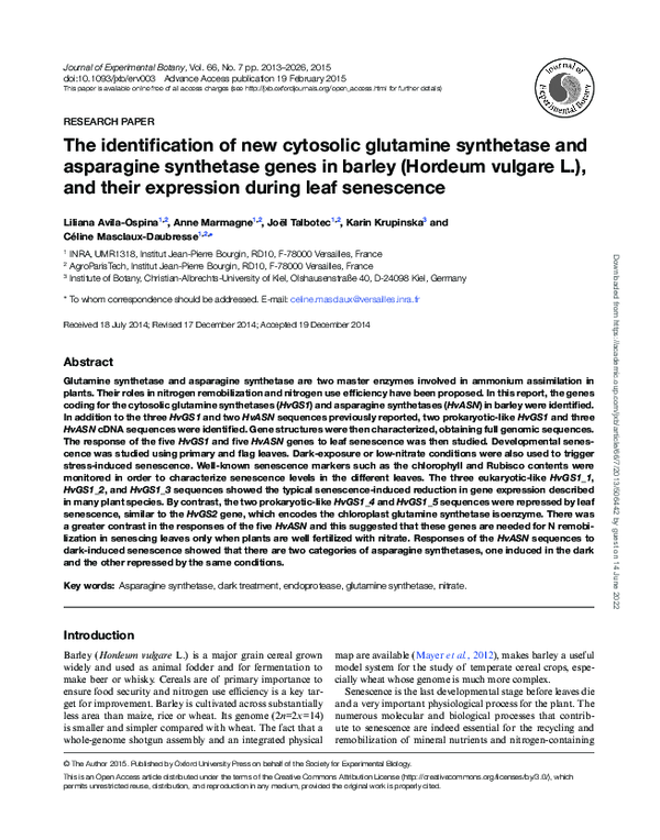 (PDF) The identification of new cytosolic glutamine synthetase and ...