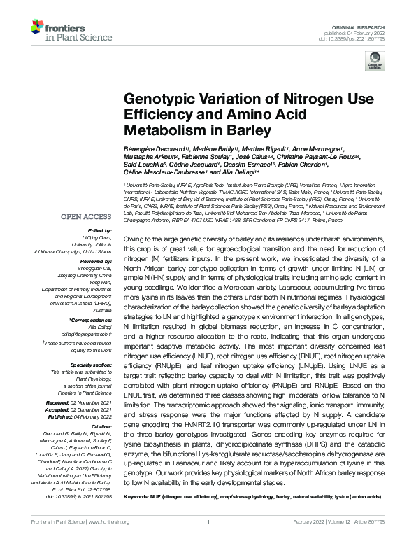 (PDF) Genotypic Variation of Nitrogen Use Efficiency and Amino Acid ...