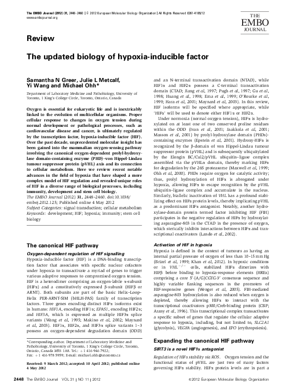 (PDF) The updated biology of hypoxia-inducible factor