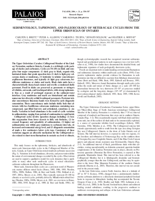 (PDF) Sedimentology, Taphonomy, and Paleoecology of Meter-Scale Cycles ...