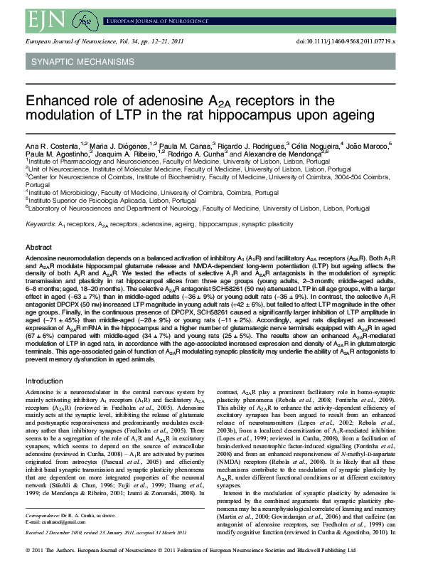(PDF) Enhanced role of adenosine A2A receptors in the modulation of LTP ...