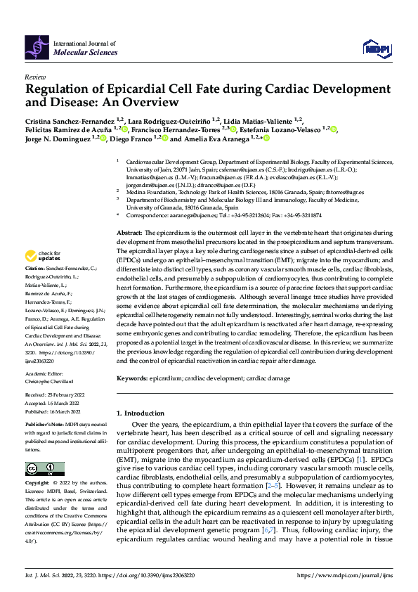 (PDF) Regulation of Epicardial Cell Fate during Cardiac Development and ...