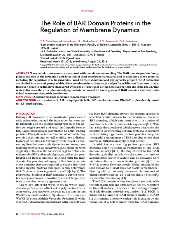 (PDF) The Role of BAR Domain Proteins in the Regulation of Membrane ...