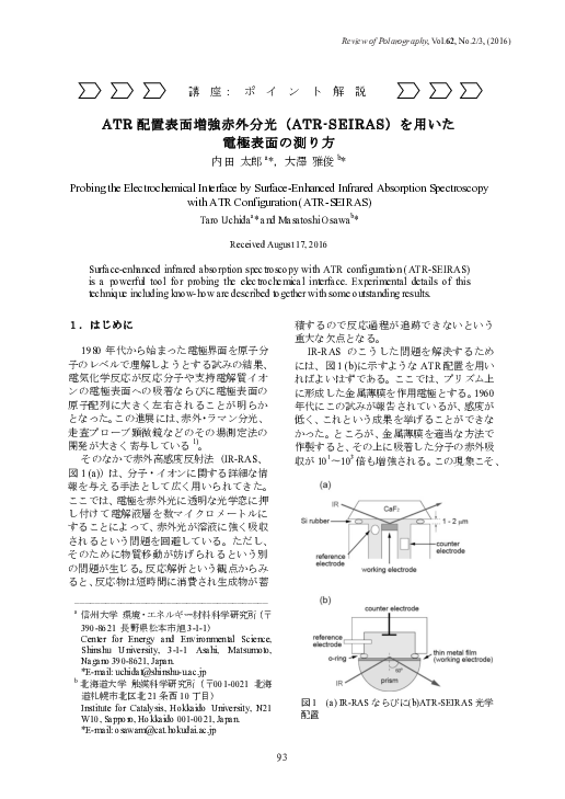 (PDF) Probing the Electrochemical Interface by Surface-Enhanced ...