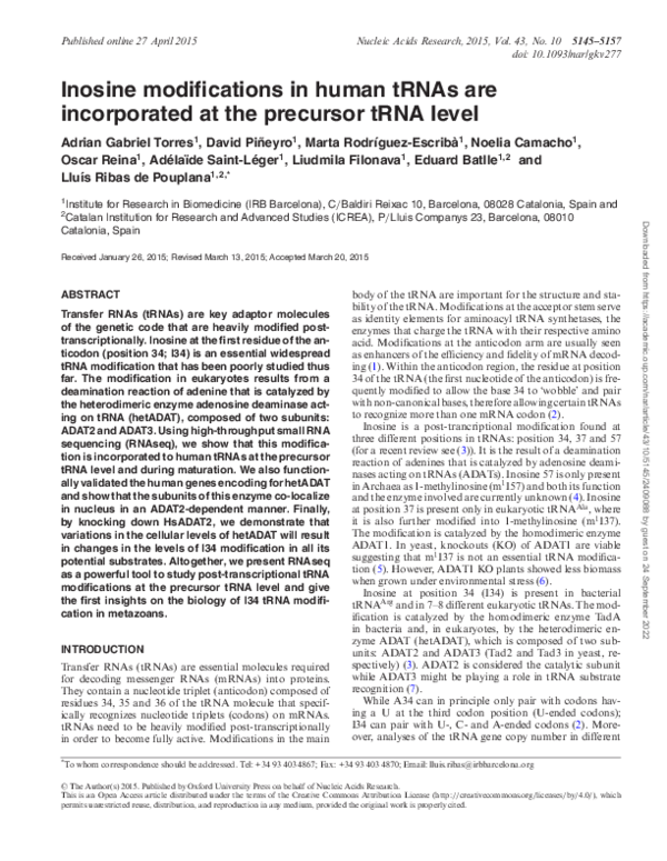 (PDF) Inosine modifications in human tRNAs are incorporated at the ...