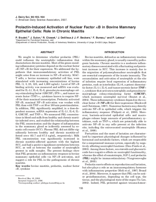 (PDF) Prolactin-induced activation of nuclear factor kappaB in bovine ...