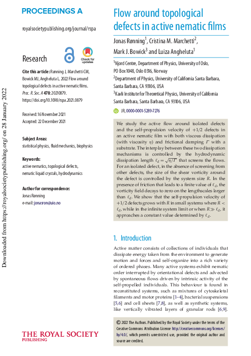 (PDF) Flow around topological defects in active nematic films