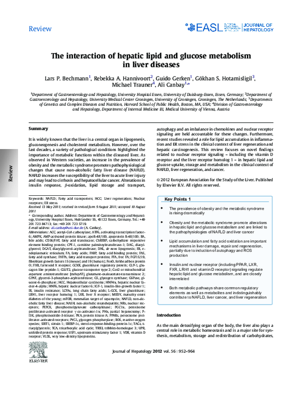 (PDF) The interaction of hepatic lipid and glucose metabolism in liver ...