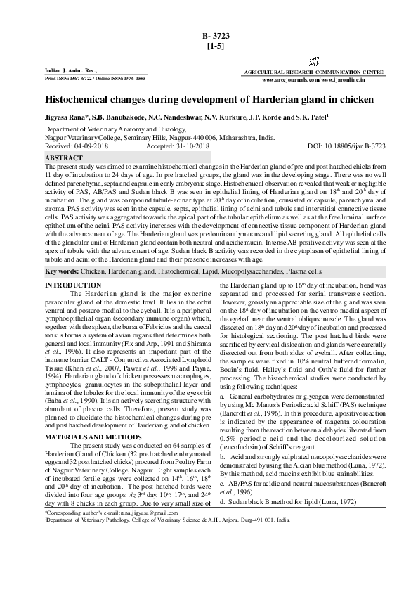 (PDF) Histochemical changes during development of Harderian gland in ...
