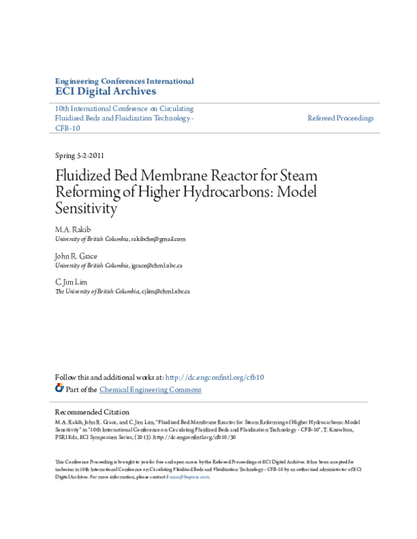 (PDF) Fluidized Bed Membrane Reactor for Steam Reforming of Higher ...