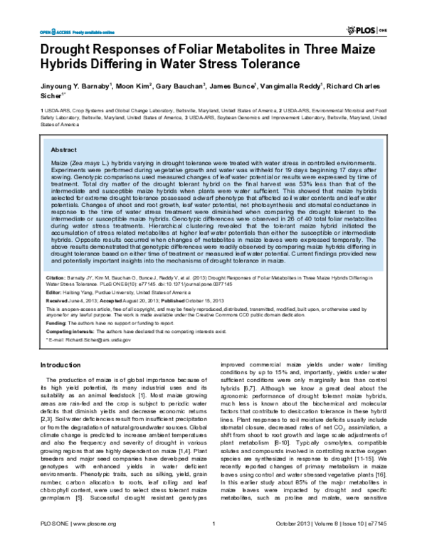 (PDF) Drought Responses of Foliar Metabolites in Three Maize Hybrids ...