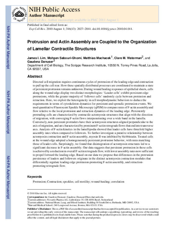 (PDF) Protrusion and actin assembly are coupled to the organization of ...