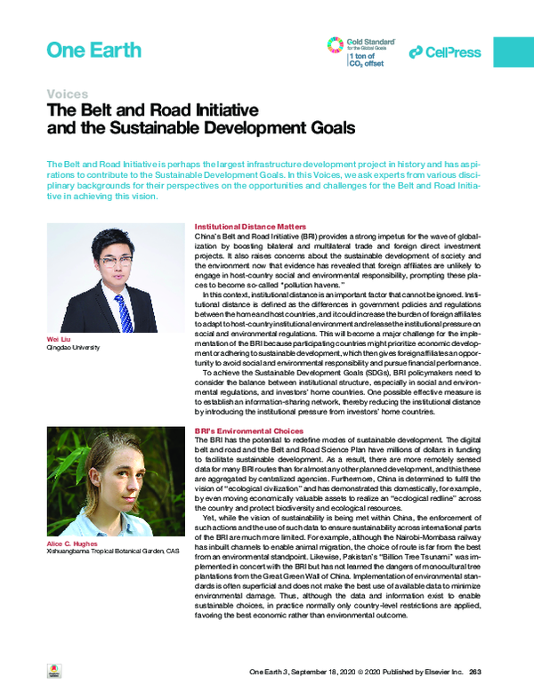 (PDF) The Belt and Road Initiative and the Sustainable Development Goals
