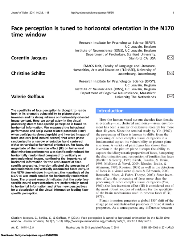 (PDF) Face perception is tuned to horizontal orientation in the N170 ...