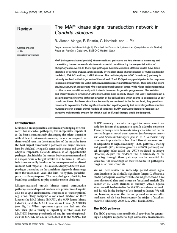 (PDF) The MAP kinase signal transduction network in Candida albicans