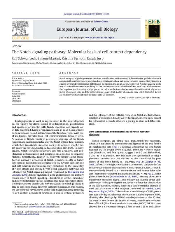 (PDF) The Notch signaling pathway: Molecular basis of cell context ...
