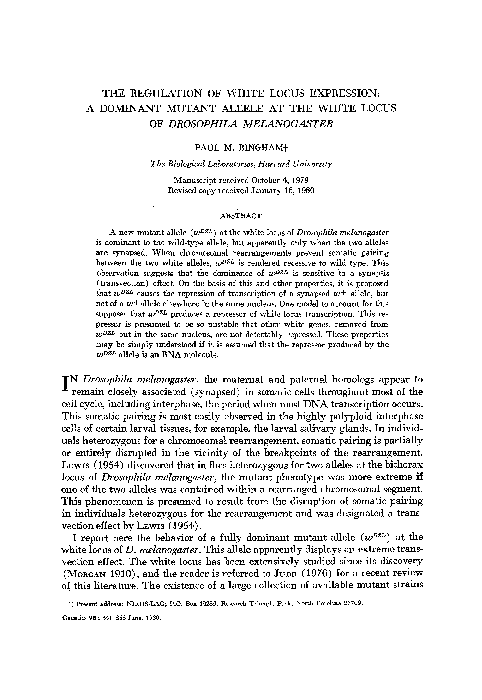 (PDF) The Regulation of White Locus Expression: A Dominant Mutant ...