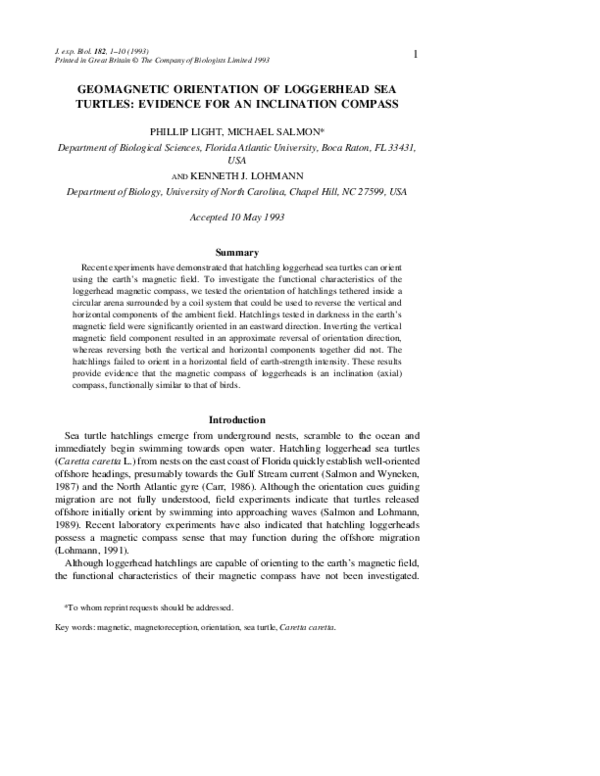 (PDF) Geomagnetic Orientation of Loggerhead Sea Turtles: Evidence for ...